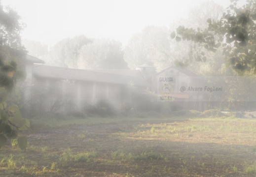 Studio effetto nebbia - Cascina Campazzo - Parco Ticinello (MI)