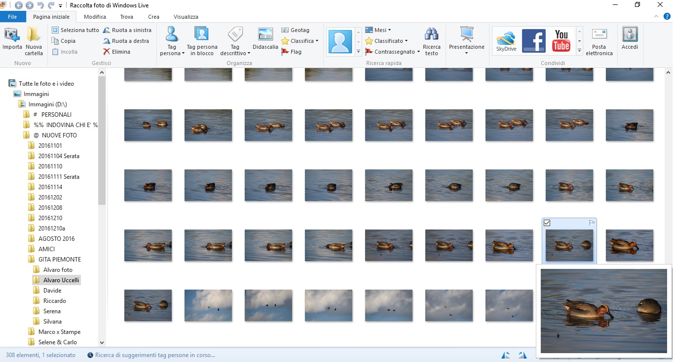 exif-2