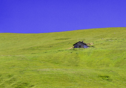 Monte Avaro - Alta Valle Brembana (BG)