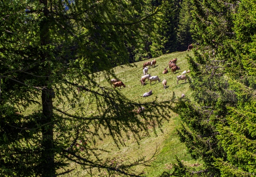 Monte Avaro - Alta Val Brembana (BG)