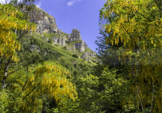 Pian dei Resinelli - Preali lombarde (LC)