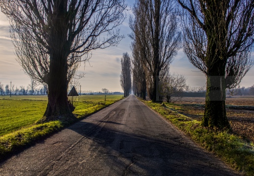 Parco della Valle del Ticino (Bereguardo (PV)