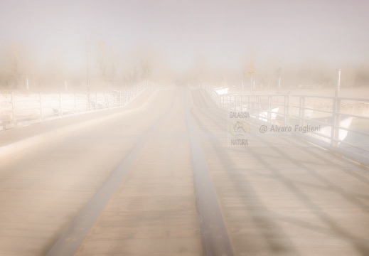 Studio effetto nebbia - Bereguardo - Ponte di Barche sul Ticino (PV)