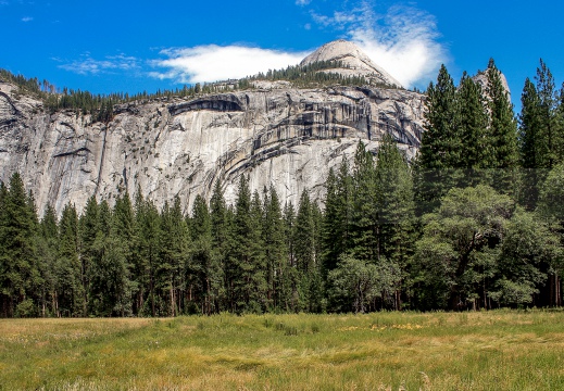 Yosemite National Park - Mariposa Grove