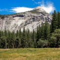 Yosemite National Park - Mariposa Grove