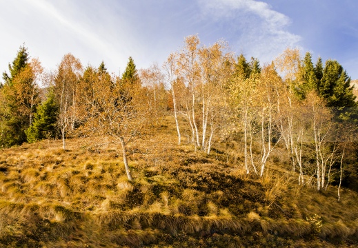 PANORAMICA ZEGNA in autunno - Bocchetto Sessera (BI)