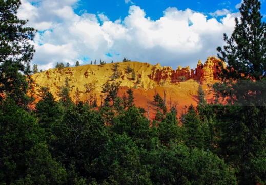 BRYCE CANYON - Bryce Canyon National Park - Utah (USA)