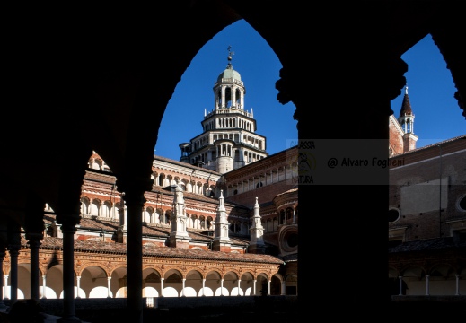 Certosa di Pavia - (PV) - Monastero 