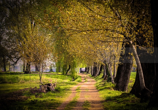 Parco agricolo Ticinello