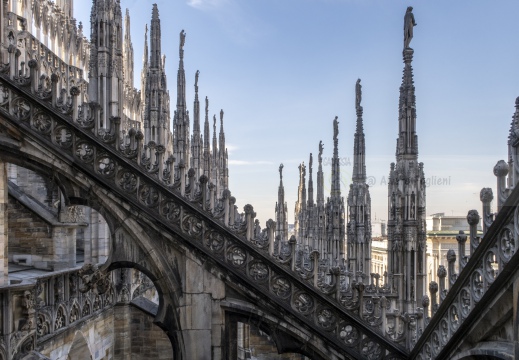 Milano - Duomo - Statue 
