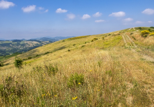 Costa del vento (PV) - Sentiero in quota