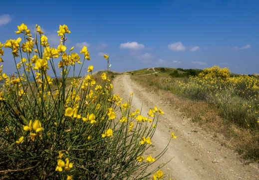 Costa del vento (PV) - Strada delle ginestre  