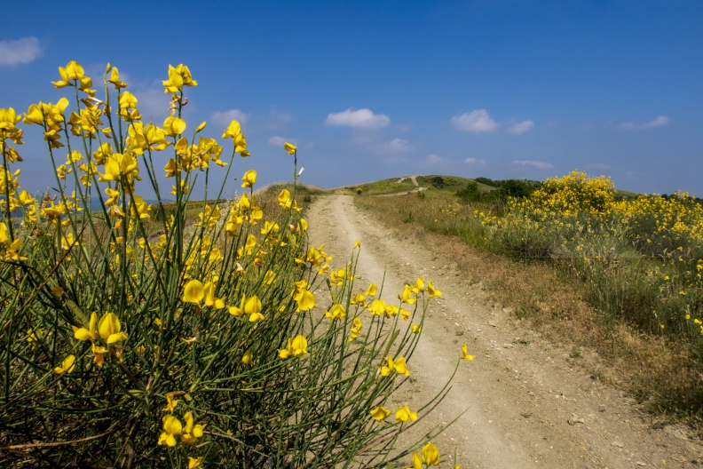 Costa del vento - Strada delle ginestre  IMG_1216.jpg