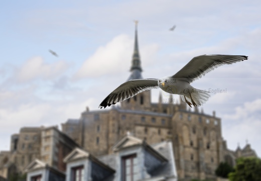 Mont Saint Michel IMG 3160