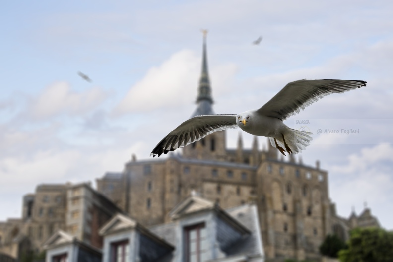 Mont Saint Michel IMG_3160.jpg