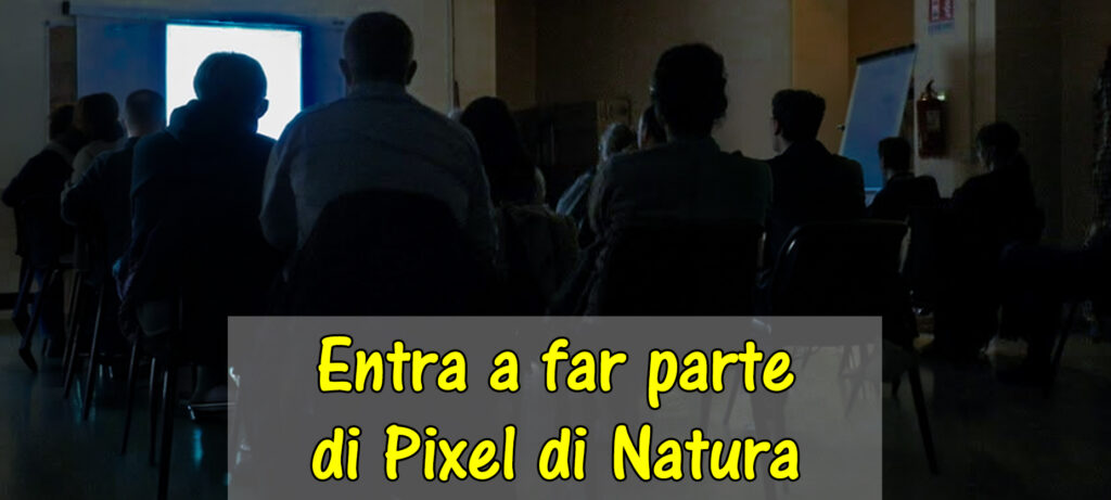 Entra a far parte di Pixel di Natura