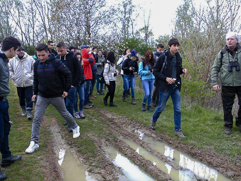 Gite birdwatching e fotografiche