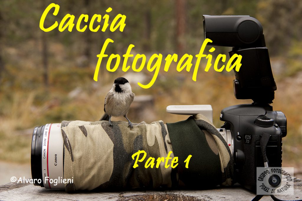Caccia fotografica vagante – Suggerimenti e trucchi – Parte I
