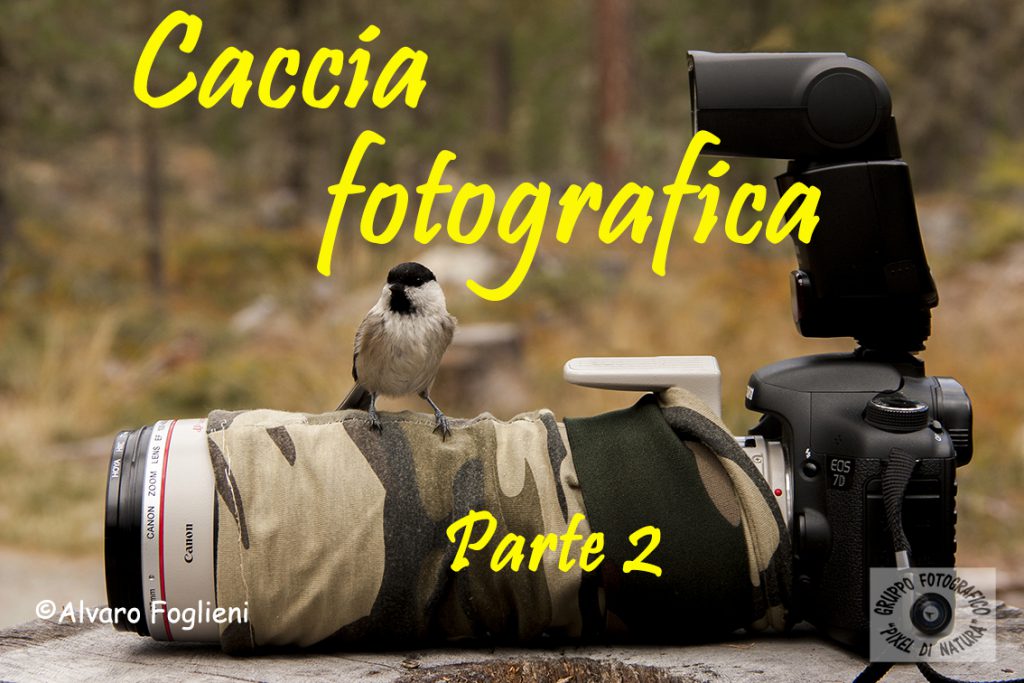 Caccia fotografica vagante – Suggerimenti e trucchi – Parte II