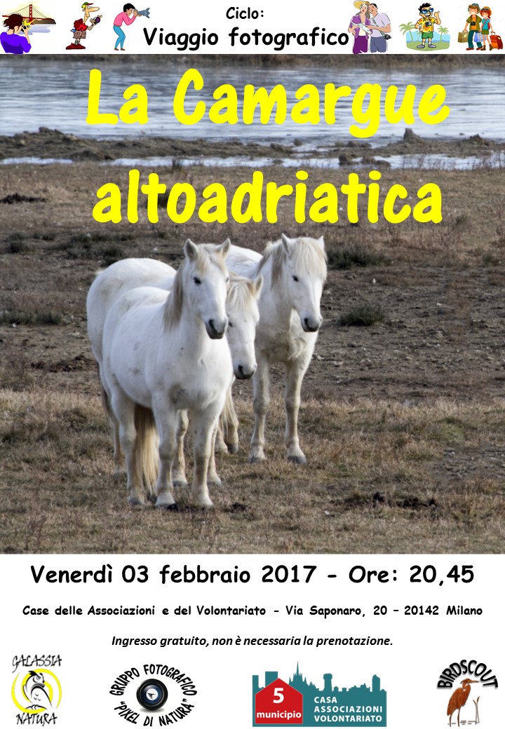 camargue-altoadriatica-x-sito