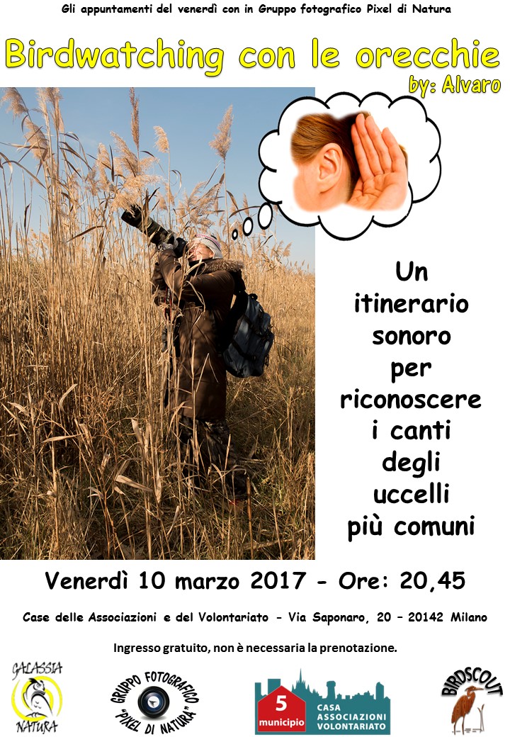 volantino-birdwatching-con-le-orecchie