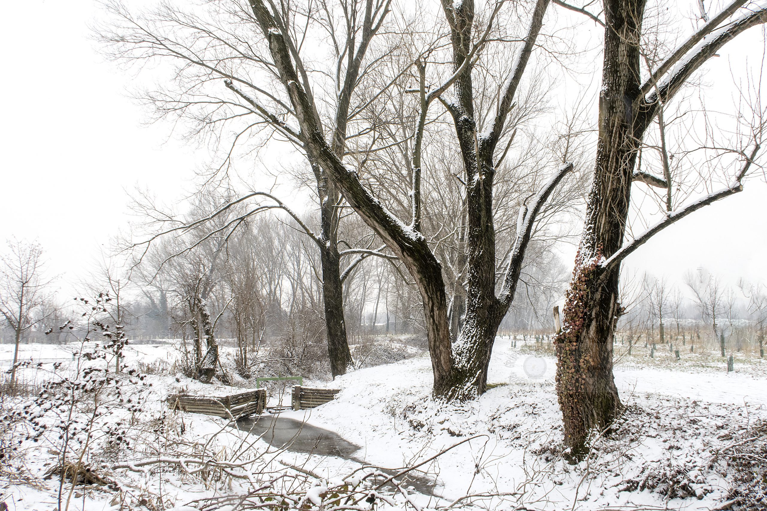 Neve d'atmosfera