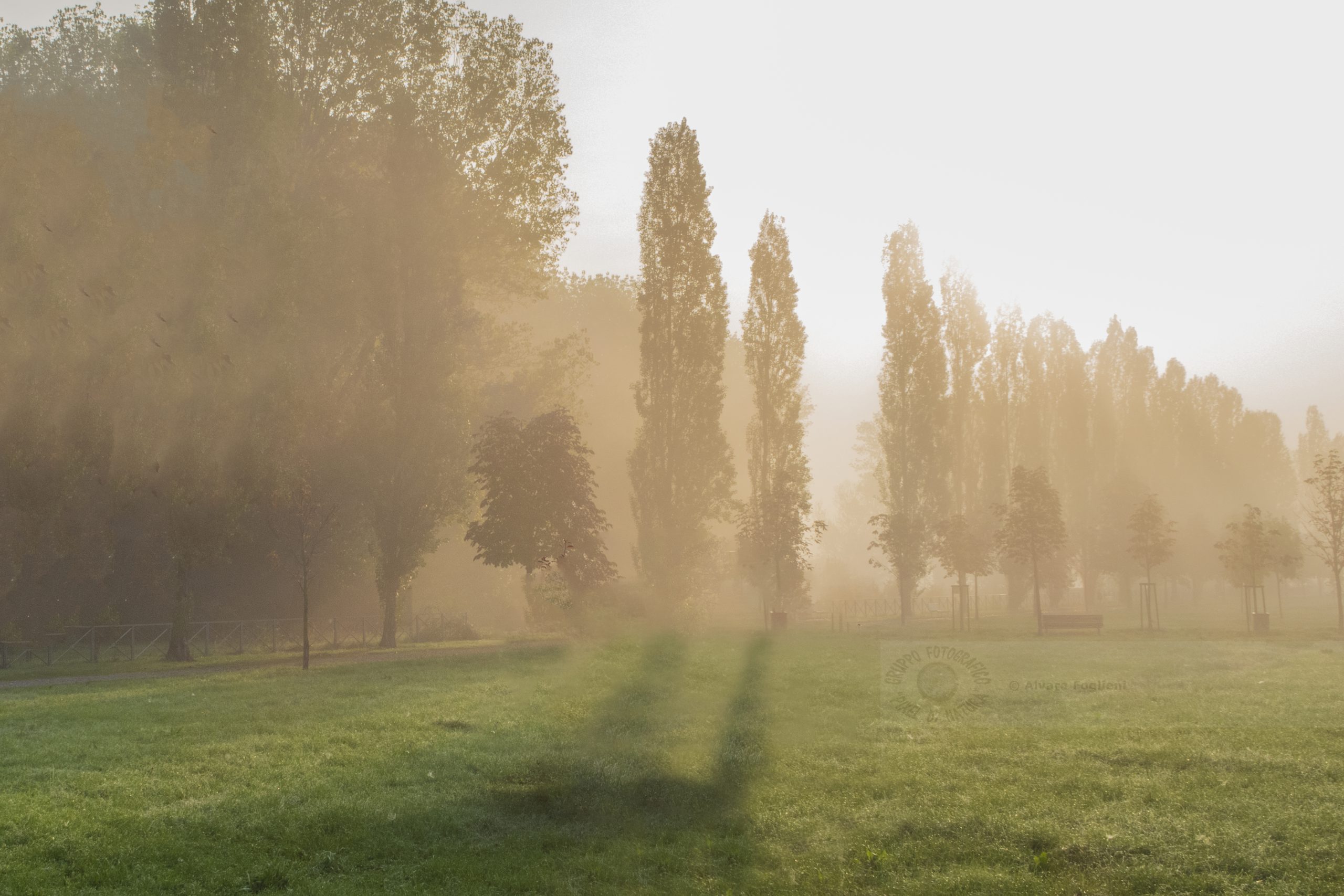 Sfrutta la nebbia