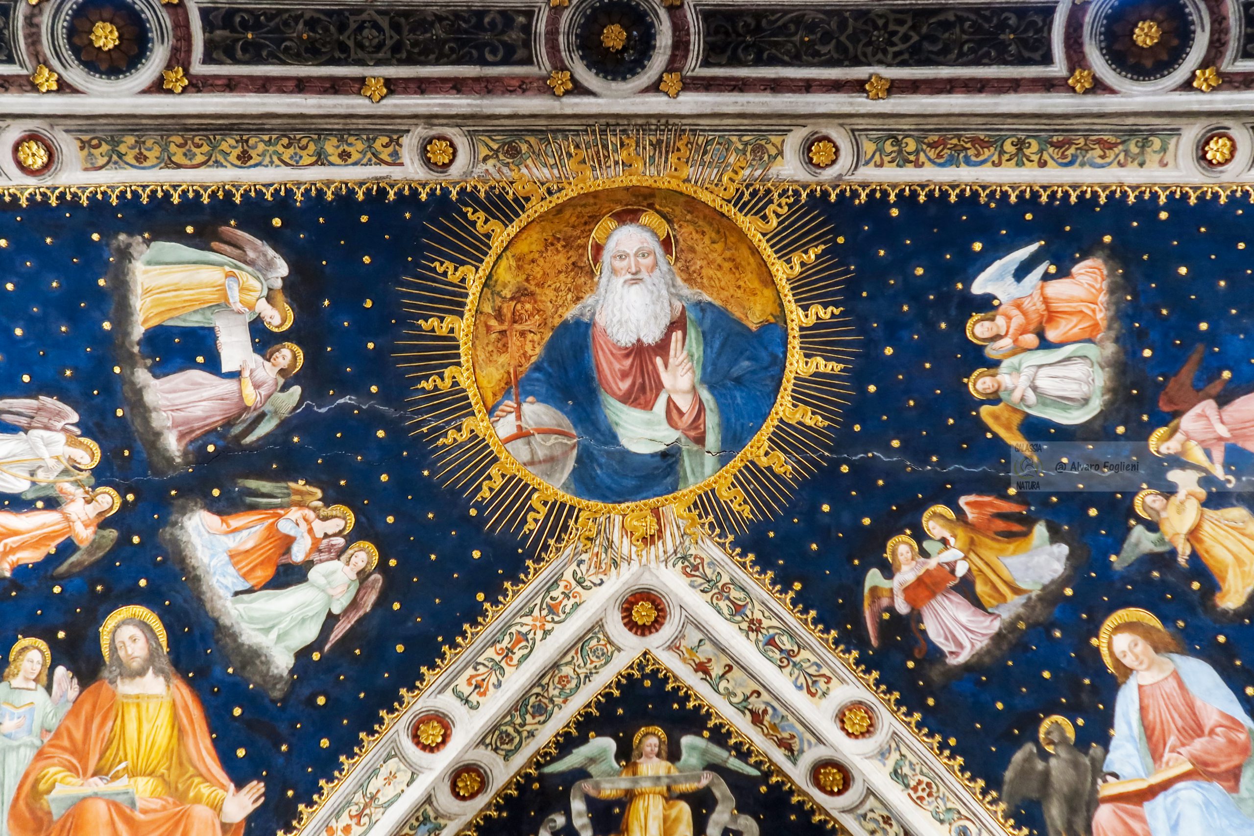 Affreschi rinascimentali Milano, Cappella Sistina lombarda, Gruppo fotografico naturalistico Milano