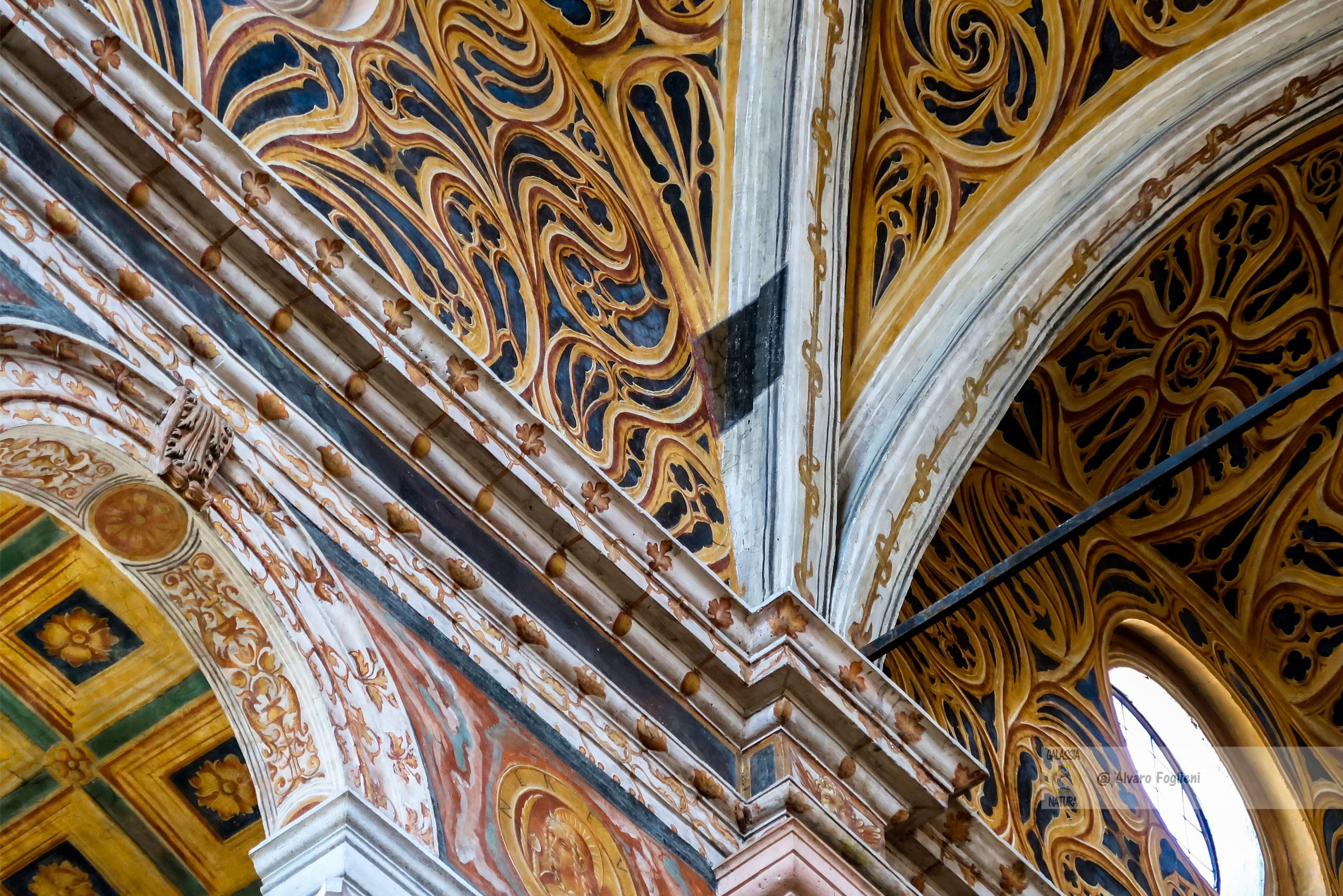 coro delle monache affresco; curiosità affreschi San Maurizio; cane Aurelio Luini affreschi; tecniche di fotografia artistica