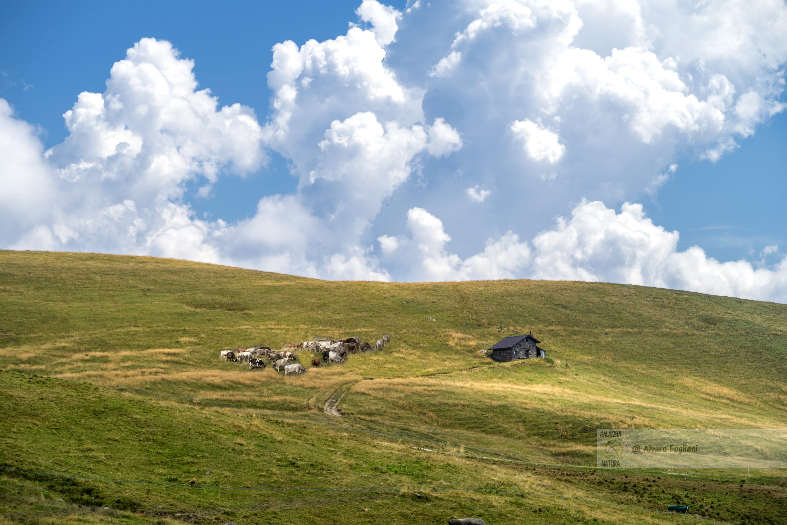 Scatta foto che facciano emergere il fascino delle rustiche baite di montagna che coesistono armoniosamente con la natura circostante.