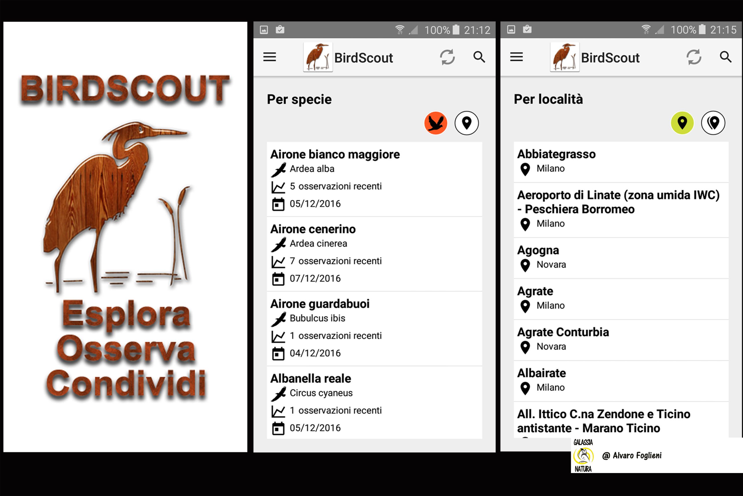 Trova hotspot migratori con l'app BirdScout per scovare luoghi ad alta densità di uccelli