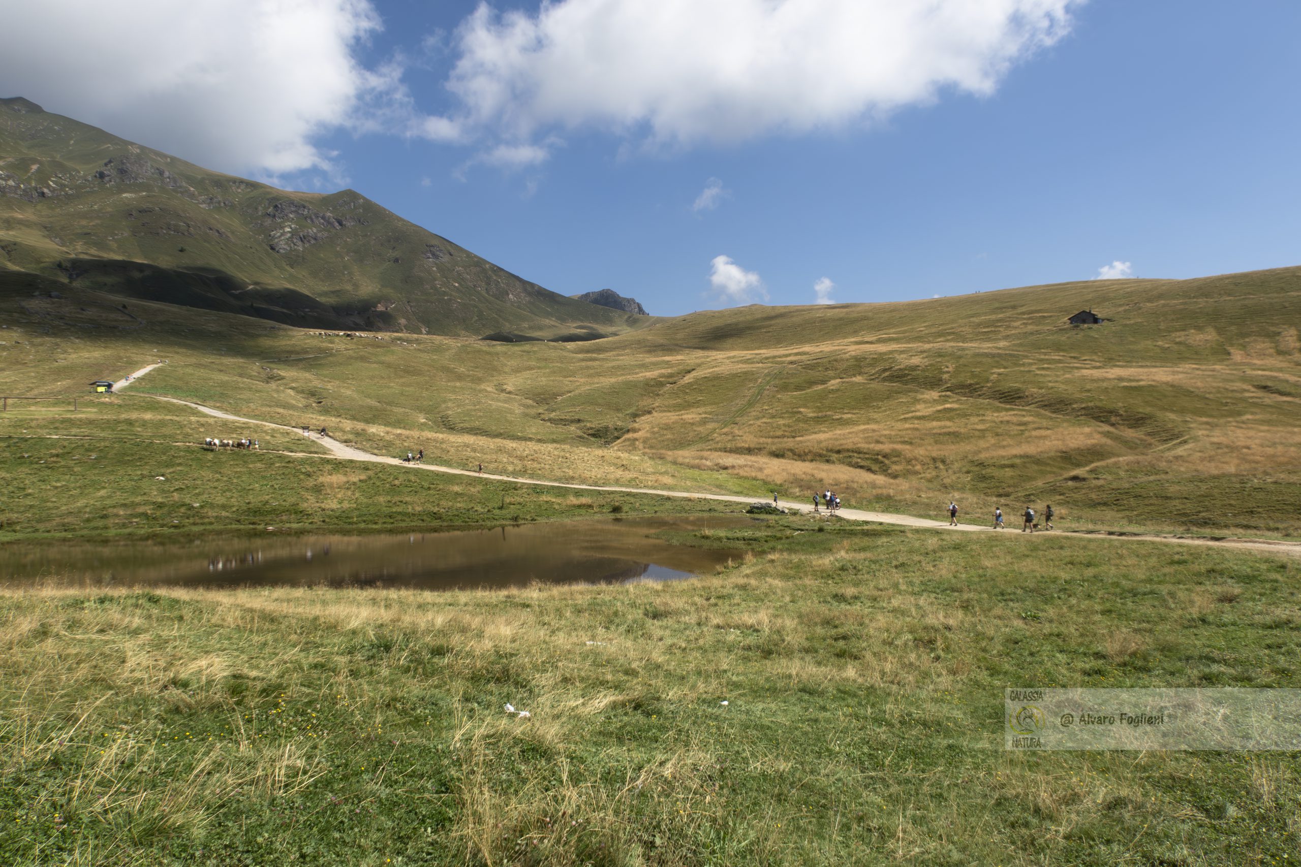 Impara consigli e tecniche preziose di fotografia naturalistica per catturare la bellezza mozzafiato della montagna.