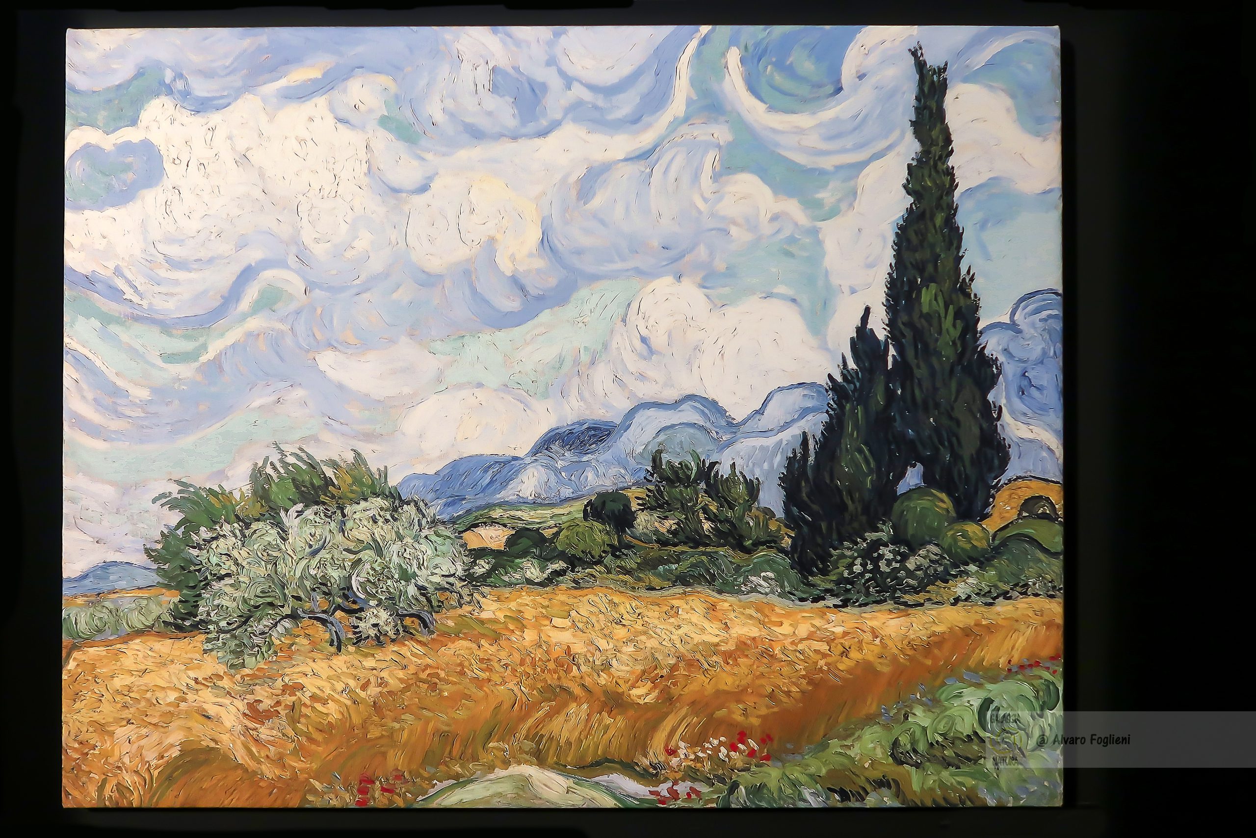 Cattura il movimento e l'energia come faceva Van Gogh con la "lunga posa"