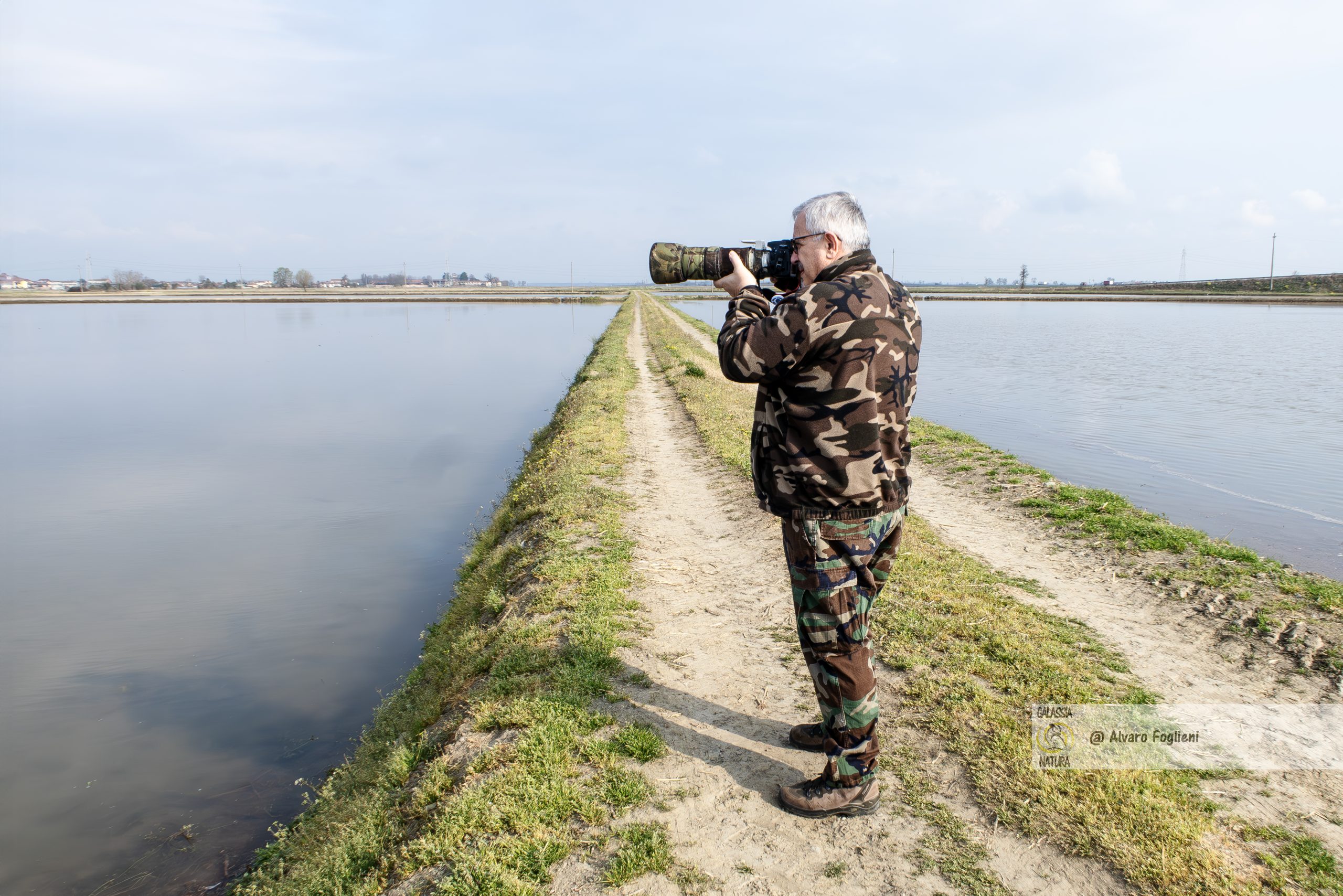 Fotografia naturalistica, risaie, uccelli migratori, habitat degli uccelli, caccia fotografica, gruppo fotografico Milano, risaie Lombardo-Piemontesi,