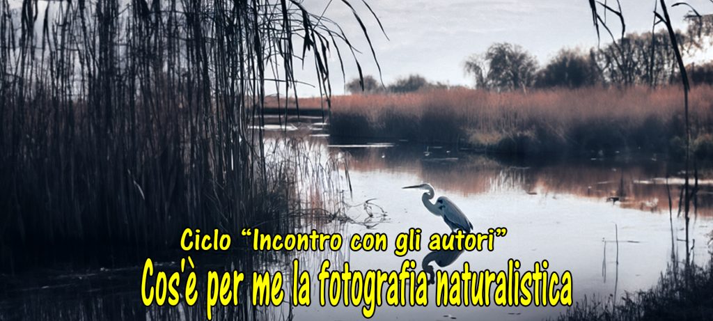 Incontro: la magia della fotografia naturalistica