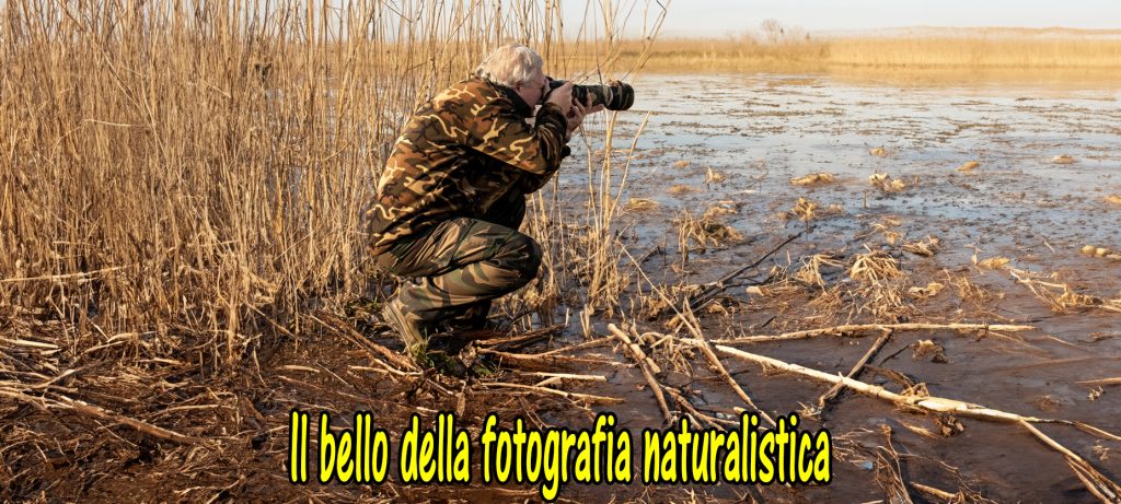 Fotografia naturalistica, impegnativa ma gratificante