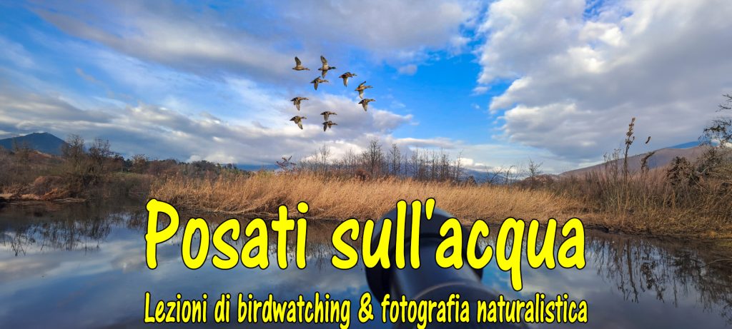 Lezione di birdwatching e fotografia naturalistica – Quarto incontro