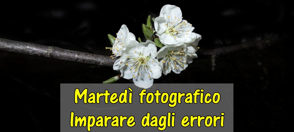 Incontro con la fotografia: “Imparare dagli errori”