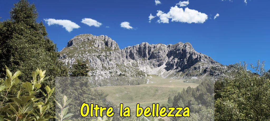 Raccontare il paesaggio: la fotografia che va oltre l’immagine