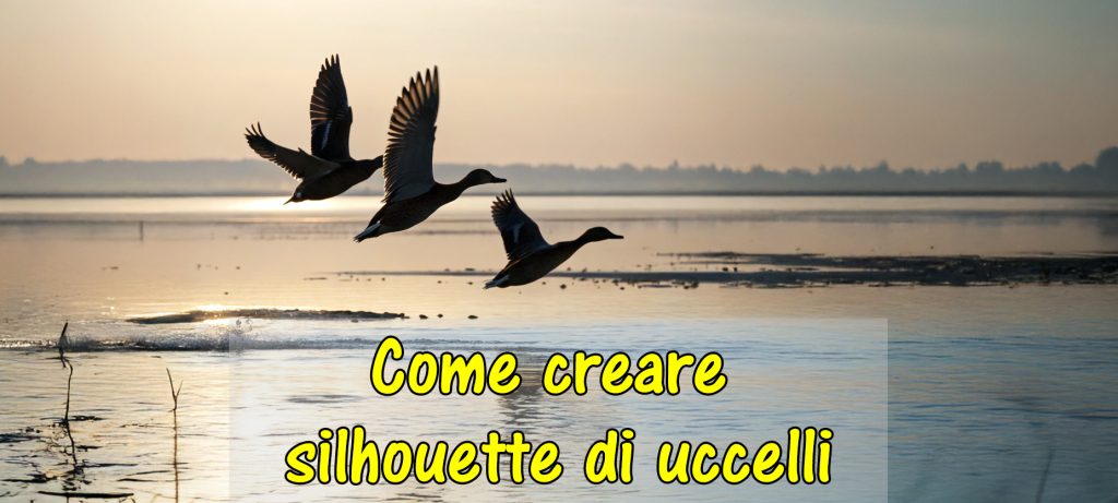 Come creare silhouette di uccelli
