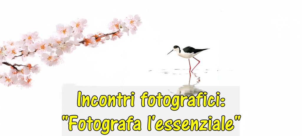Incontro con la fotografia: “Fotografare l’essenziale”