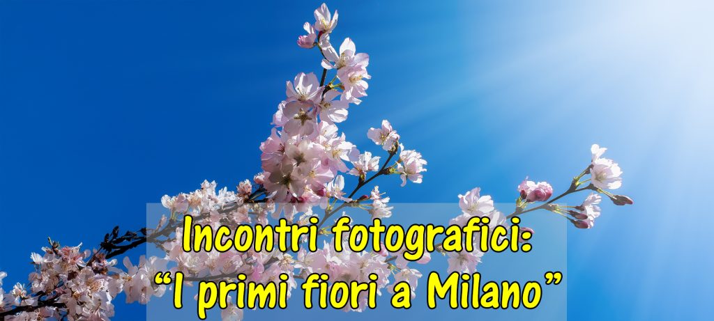 Incontro con la fotografia: “I primi fiori di primavera a Milano”