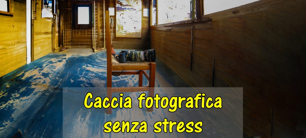 Praticare caccia fotografica senza stress