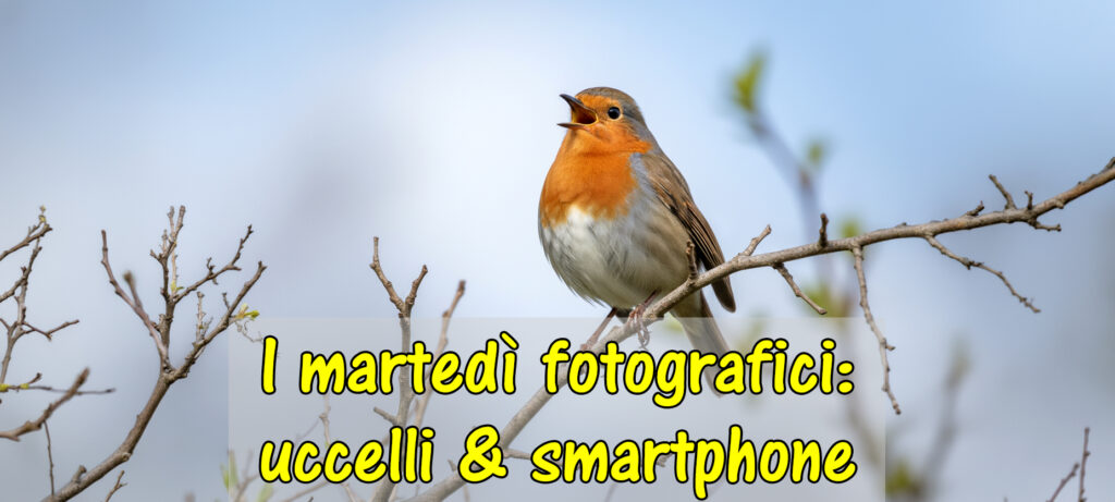 Incontro con la fotografia: “Caccia fotografica con il cellulare!