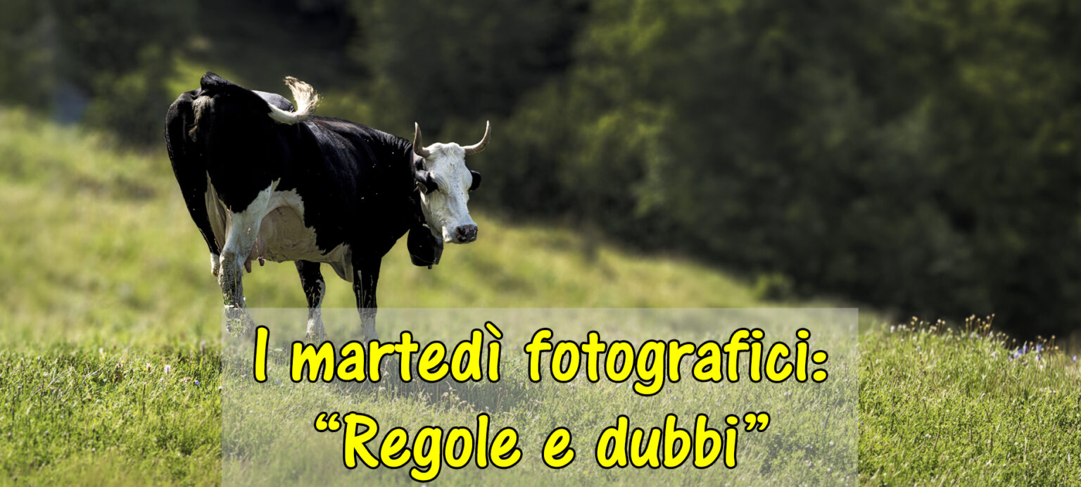 Incontro con la fotografia: “Le regole che liberano la creatività ...