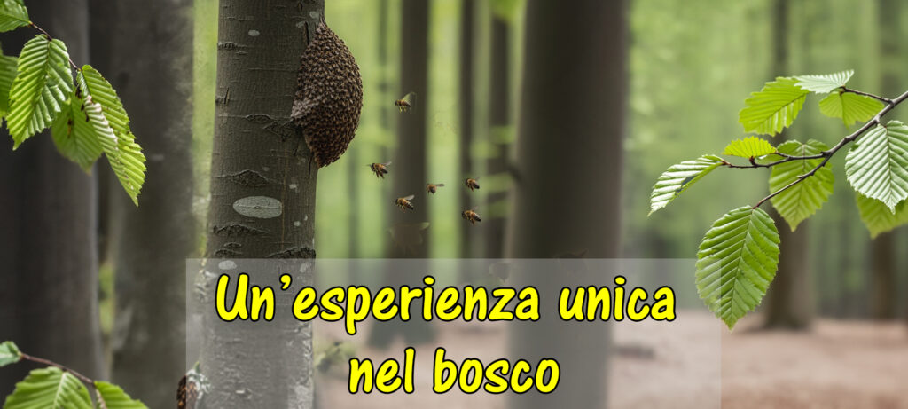 Un’esperienza unica nel bosco