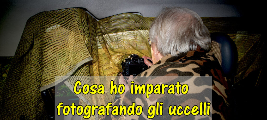 Cosa ho imparato sugli uccelli fotografandoli