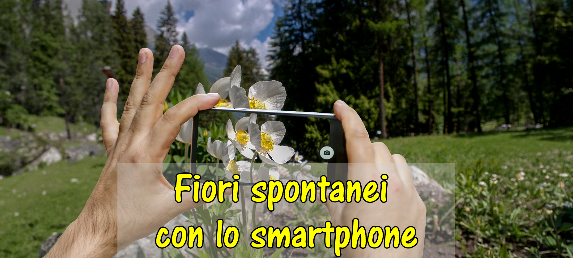 Fiori spontanei con lo smartphone