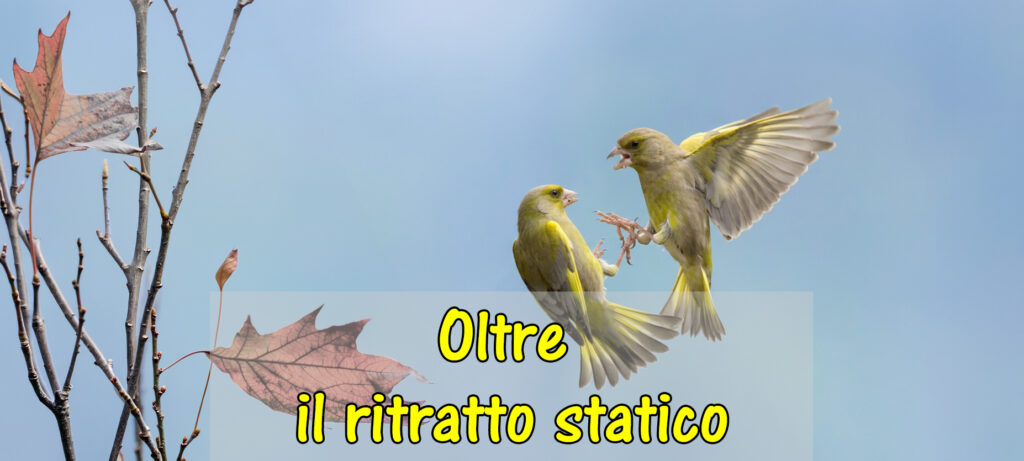 Oltre il ritratto statico