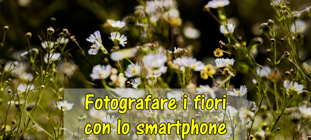 Fotografare i fiori con lo smartphone – Secondo incontro